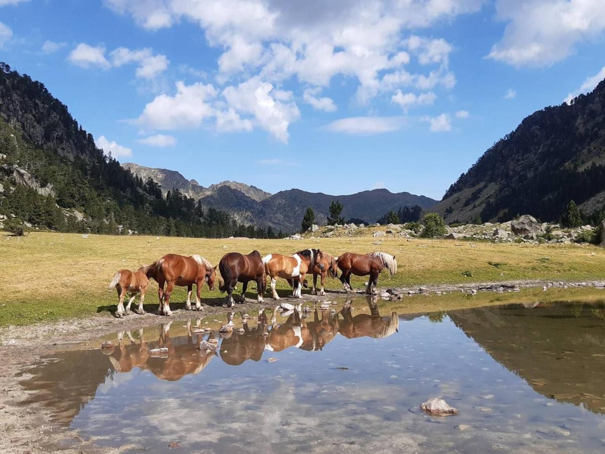 Appartement Cauterets, 3 pièces, 8 personnes - FR-1-234-78 Esterno foto