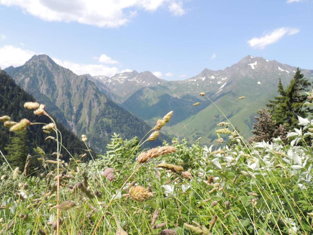 Appartement Cauterets, 3 pièces, 8 personnes - FR-1-234-78 Esterno foto